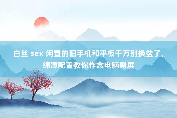 白丝 sex 闲置的旧手机和平板千万别换盆了，绵薄配置教你作念电脑副屏