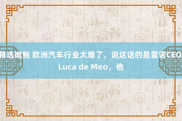 精选嫩鲍 欧洲汽车行业太难了，说这话的是雷诺CEO Luca de Meo，他