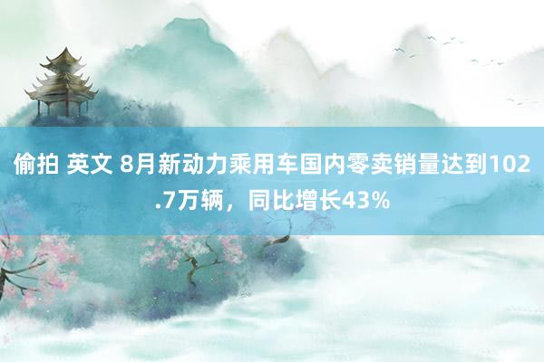 偷拍 英文 8月新动力乘用车国内零卖销量达到102.7万辆，同比增长43%