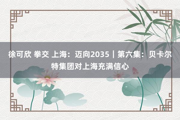 徐可欣 拳交 上海：迈向2035｜第六集：贝卡尔特集团对上海充满信心