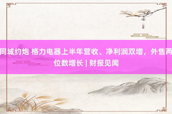 同城约炮 格力电器上半年营收、净利润双增，外售两位数增长 | 财报见闻