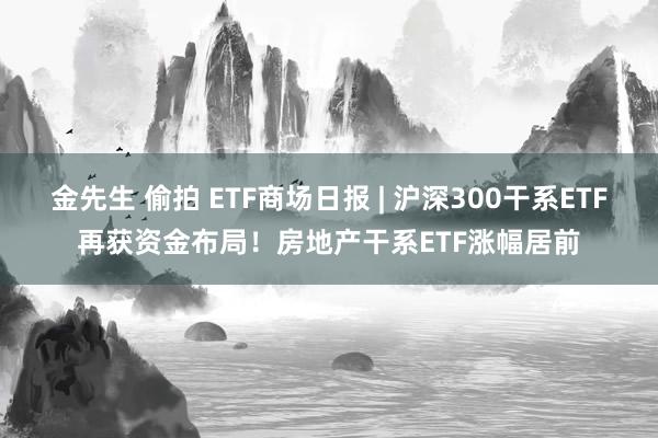 金先生 偷拍 ETF商场日报 | 沪深300干系ETF再获资金布局！房地产干系ETF涨幅居前