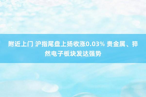 附近上门 沪指尾盘上扬收涨0.03% 贵金属、猝然电子板块发达强势