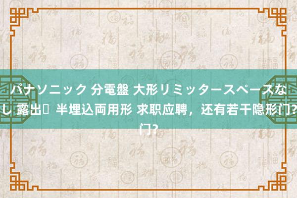 パナソニック 分電盤 大形リミッタースペースなし 露出・半埋込両用形 求职应聘，还有若干隐形门？