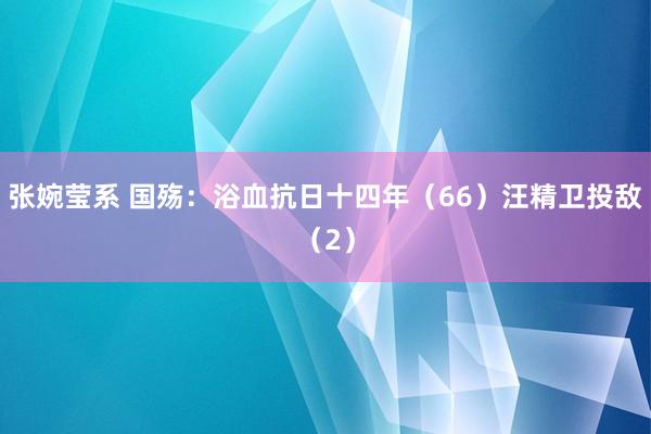 张婉莹系 国殇：浴血抗日十四年（66）汪精卫投敌（2）