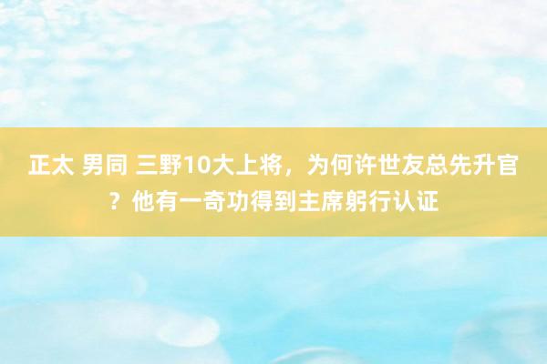 正太 男同 三野10大上将，为何许世友总先升官？他有一奇功得到主席躬行认证