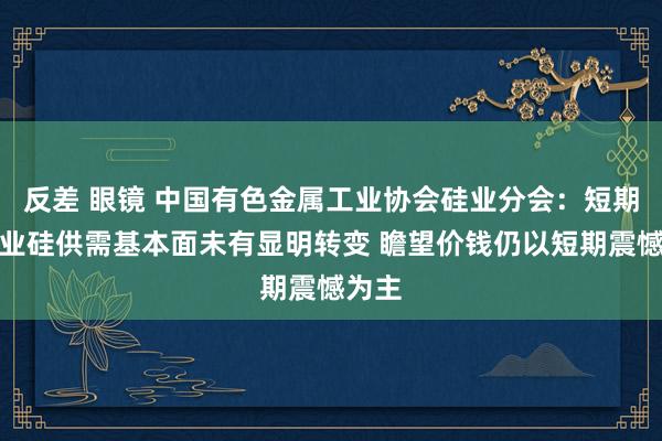 反差 眼镜 中国有色金属工业协会硅业分会：短期内工业硅供需基本面未有显明转变 瞻望价钱仍以短期震憾为主