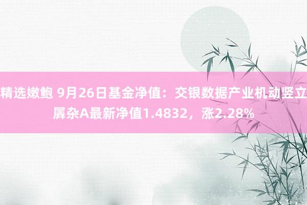 精选嫩鲍 9月26日基金净值：交银数据产业机动竖立羼杂A最新净值1.4832，涨2.28%