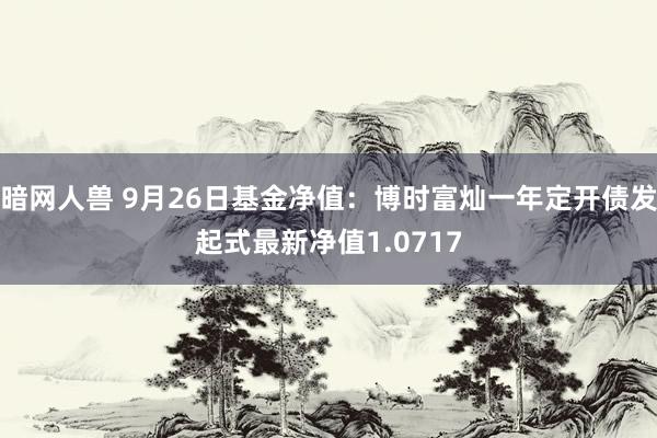 暗网人兽 9月26日基金净值：博时富灿一年定开债发起式最新净值1.0717