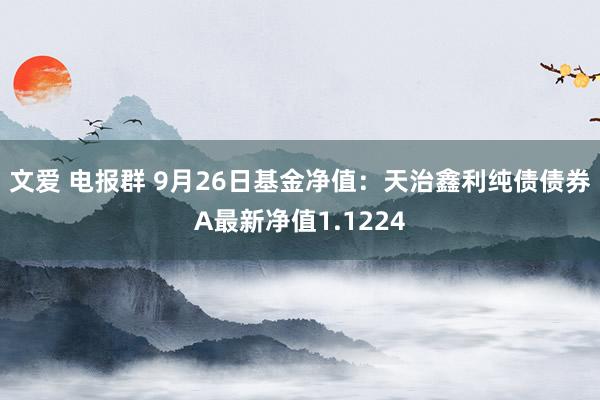 文爱 电报群 9月26日基金净值：天治鑫利纯债债券A最新净值1.1224