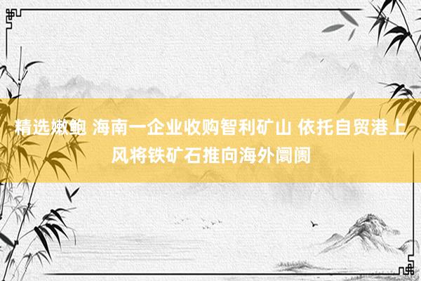 精选嫩鲍 海南一企业收购智利矿山 依托自贸港上风将铁矿石推向海外阛阓