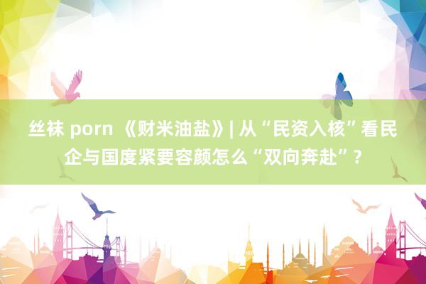 丝袜 porn 《财米油盐》| 从“民资入核”看民企与国度紧要容颜怎么“双向奔赴”？