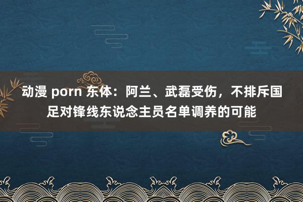 动漫 porn 东体：阿兰、武磊受伤，不排斥国足对锋线东说念主员名单调养的可能