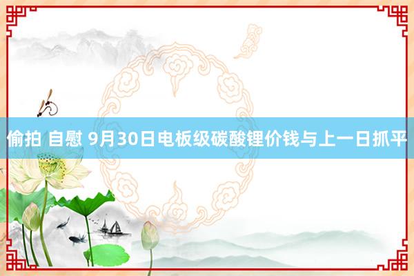 偷拍 自慰 9月30日电板级碳酸锂价钱与上一日抓平