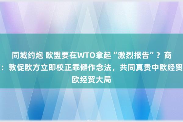 同城约炮 欧盟要在WTO拿起“激烈报告”？商务部：敦促欧方立即校正乖僻作念法，共同真贵中欧经贸大局