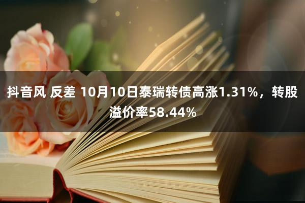 抖音风 反差 10月10日泰瑞转债高涨1.31%，转股溢价率58.44%