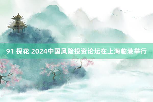 91 探花 2024中国风险投资论坛在上海临港举行