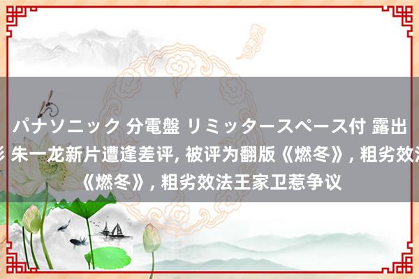 パナソニック 分電盤 リミッタースペース付 露出・半埋込両用形 朱一龙新片遭逢差评， 被评为翻版《燃冬》， 粗劣效法王家卫惹争议