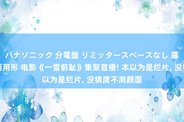 パナソニック 分電盤 リミッタースペースなし 露出・半埋込両用形 电影《一雪前耻》集聚首播! 本以为是烂片， 没猜度不测颜面