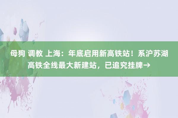 母狗 调教 上海：年底启用新高铁站！系沪苏湖高铁全线最大新建站，已追究挂牌→