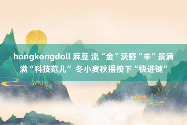 hongkongdoll 麻豆 流“金”沃野“丰”景满满“科技范儿” 冬小麦秋播按下“快进键”