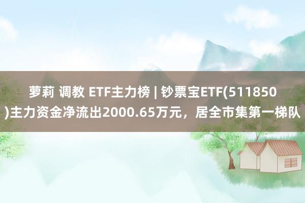 萝莉 调教 ETF主力榜 | 钞票宝ETF(511850)主力资金净流出2000.65万元，居全市集第一梯队