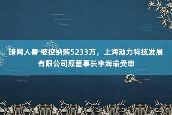 暗网人兽 被控纳贿5233万，上海动力科技发展有限公司原董事长李海瑜受审