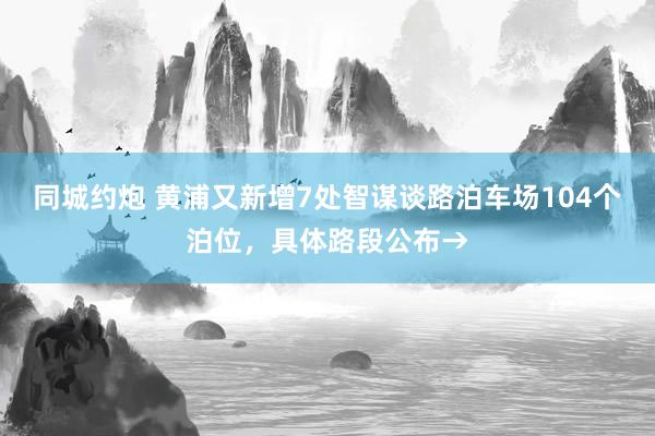 同城约炮 黄浦又新增7处智谋谈路泊车场104个泊位，具体路段公布→