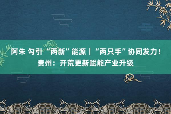 阿朱 勾引 “两新”能源｜“两只手”协同发力！贵州：开荒更新赋能产业升级