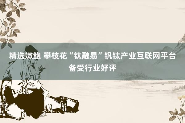 精选嫩鲍 攀枝花“钛融易”钒钛产业互联网平台备受行业好评