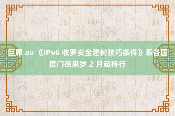 巨屌 av 《IPv6 收罗安全建树技巧条件》系各国度门径来岁 2 月起持行