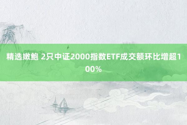 精选嫩鲍 2只中证2000指数ETF成交额环比增超100%