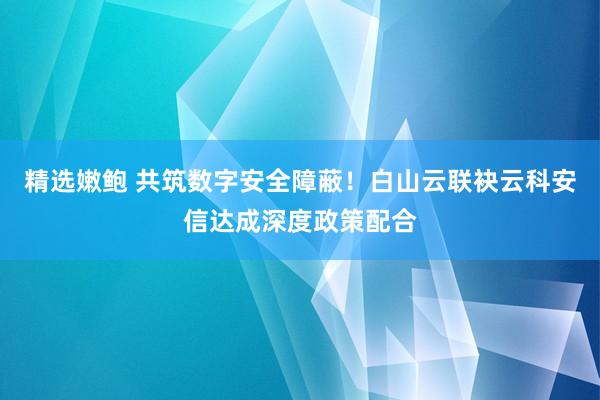 精选嫩鲍 共筑数字安全障蔽！白山云联袂云科安信达成深度政策配合