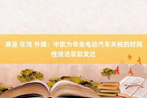 麻豆 在线 外媒：中欧为幸免电动汽车关税的时间性接洽获取发达