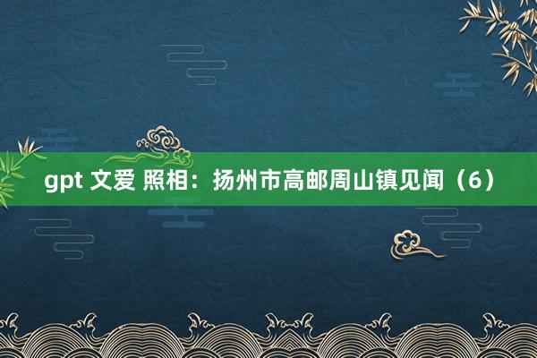 gpt 文爱 照相：扬州市高邮周山镇见闻（6）