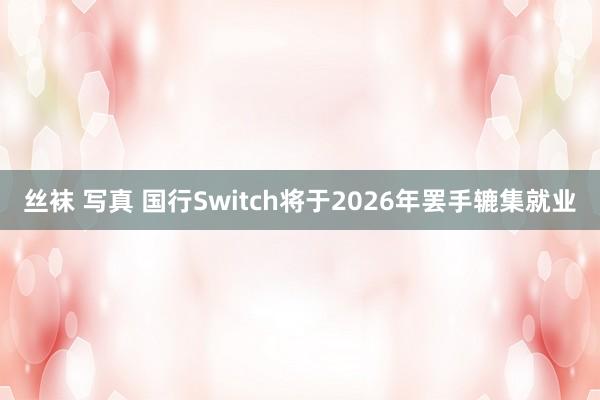 丝袜 写真 国行Switch将于2026年罢手辘集就业