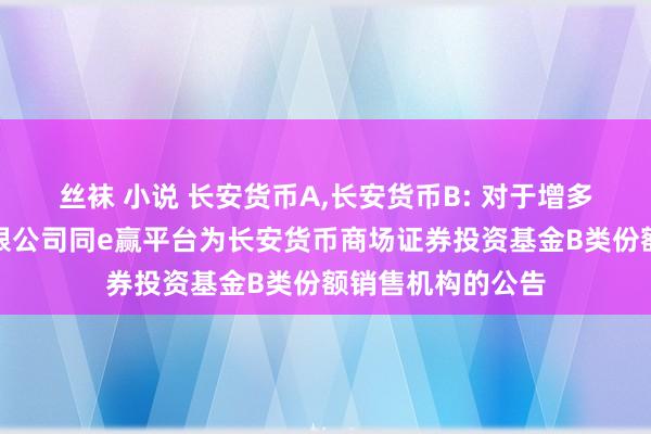 丝袜 小说 长安货币A，长安货币B: 对于增多中国银行股份有限公司同e赢平台为长安货币商场证券投资基金B类份额销售机构的公告