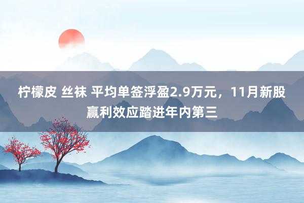 柠檬皮 丝袜 平均单签浮盈2.9万元，11月新股赢利效应踏进年内第三