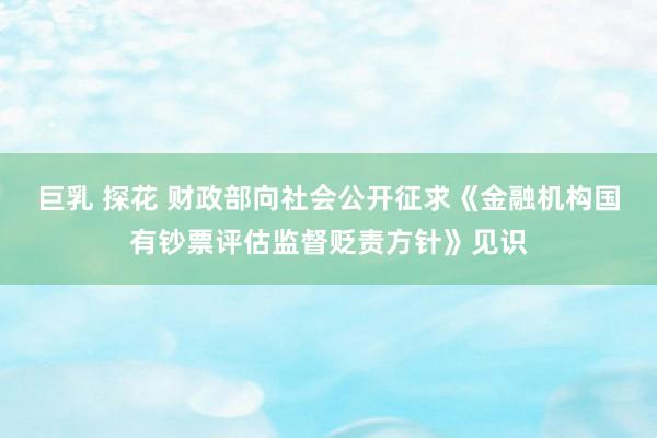 巨乳 探花 财政部向社会公开征求《金融机构国有钞票评估监督贬责方针》见识