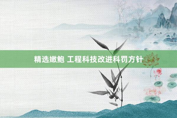 精选嫩鲍 工程科技改进科罚方针