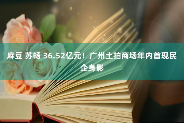 麻豆 苏畅 36.52亿元！广州土拍商场年内首现民企身影