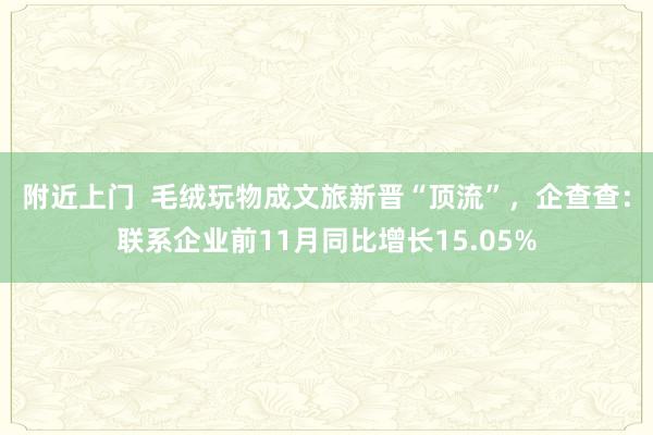 附近上门  毛绒玩物成文旅新晋“顶流”，企查查：联系企业前11月同比增长15.05%