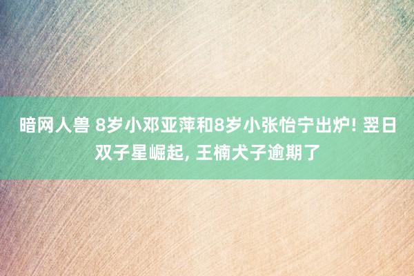 暗网人兽 8岁小邓亚萍和8岁小张怡宁出炉! 翌日双子星崛起， 王楠犬子逾期了