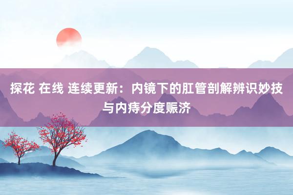 探花 在线 连续更新：内镜下的肛管剖解辨识妙技与内痔分度赈济