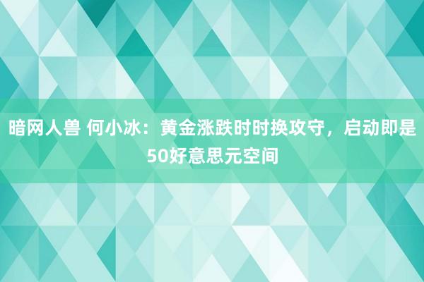 暗网人兽 何小冰：黄金涨跌时时换攻守，启动即是50好意思元空间