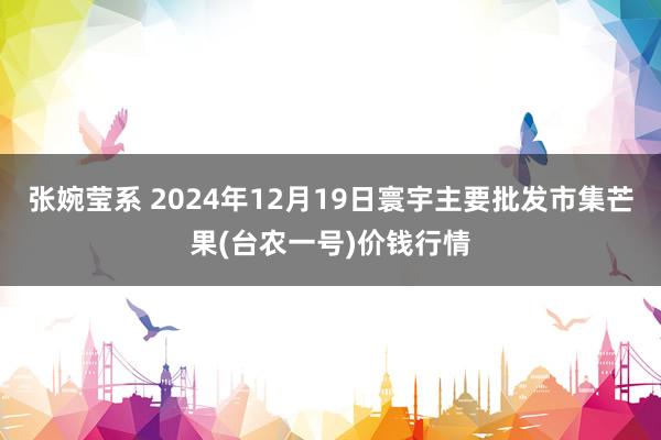 张婉莹系 2024年12月19日寰宇主要批发市集芒果(台农一号)价钱行情