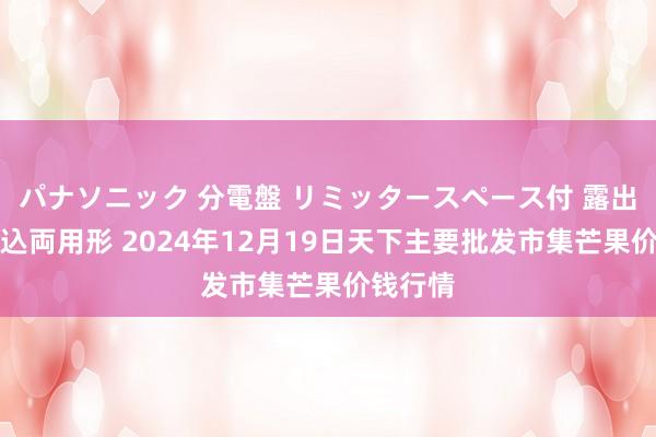 パナソニック 分電盤 リミッタースペース付 露出・半埋込両用形 2024年12月19日天下主要批发市集芒果价钱行情