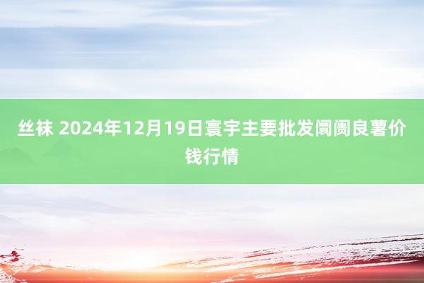 丝袜 2024年12月19日寰宇主要批发阛阓良薯价钱行情