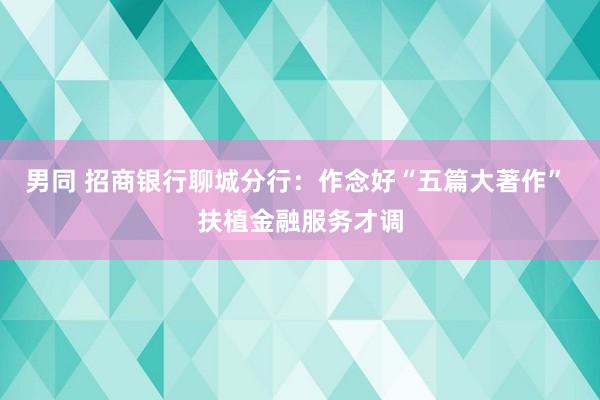 男同 招商银行聊城分行：作念好“五篇大著作” 扶植金融服务才调