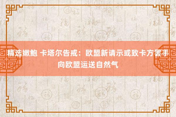 精选嫩鲍 卡塔尔告戒：欧盟新请示或致卡方罢手向欧盟运送自然气